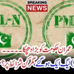 IMRAN KHAN, SHOCKED, PMLQ, AND, PMLN, JOINT, VENTURE