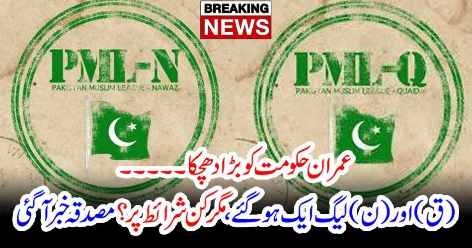 IMRAN KHAN, SHOCKED, PMLQ, AND, PMLN, JOINT, VENTURE