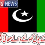 THE, JOURNALIST, TO, REPORT, AGAINST, PPP, MURDERED,