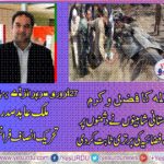 MALIK ABID, PRESIDENT, PTI, FRANCE, ON, SURPRISE, DAY, CELEBRATIONS, FOR, PAK, AIR FORCE
