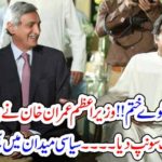 SETTLED, EVERYTHING, BETWEEN, IMRAN KHAN, AND, JEHANGIR TAREEN