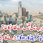 SAUDI ARABIA, GUARDIAN, SYSTEM, WIND UP, FROM, KSA