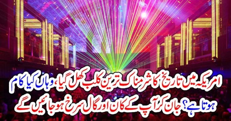 SHAMEFUL, CLUB, OPENED, IN, USA