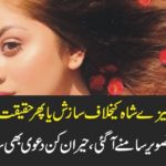 A, HARSH, CONSPIRACY, AGAINST, ALIZAY SHAH, OR, FACTS, ABOUT, HER, NUDE, PHOTOS