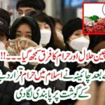CHINA, PEOPLE, ADMITED, THE, IMPORTANCE, OF, HALAL, FOOD, AFTER, CORONA, VIRUS, SCAM, HALA, FOOD, IS, BECOMING, TO, POPULAR, IN, CHINA