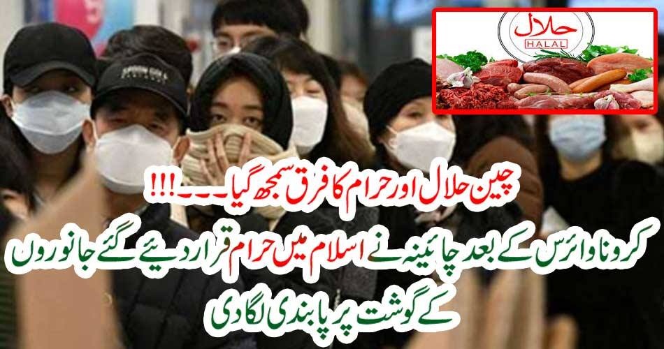 CHINA, PEOPLE, ADMITED, THE, IMPORTANCE, OF, HALAL, FOOD, AFTER, CORONA, VIRUS, SCAM, HALA, FOOD, IS, BECOMING, TO, POPULAR, IN, CHINA