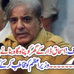 what, is, secret, in, shelter home, declaration.of, ishaq dar, house