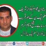 SHEIKH WASEEM AKRAM, GENERAL, SECRETARY, PMLN, FRANCE, SAYS, WITH, EVERY, PASSING, DAY, PEOPLES, GETTING, CLOSER, TO, PMLN