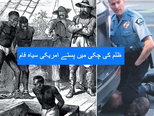 امریکی سیاہ فام