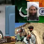 INDIAN SUPPORTING, TALIBANISATION, TO, EXTEND, PROXY, WAR, AGAINST, PAKISTAN, SAYS, MUNIR AKRAM, IN, INTERVIEW, WITH, NEWS WEAK